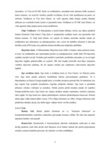 Prakses atskaite 'Prakses atskaite a/s "Hansabanka"', 29.