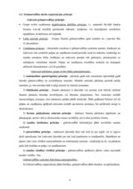 Prakses atskaite 'Prakses atskaite a/s "Hansabanka"', 40.