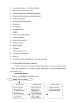 Prakses atskaite 'Prakses atskaite a/s "Hansabanka"', 44.