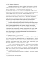 Prakses atskaite 'Prakses atskaite a/s "Hansabanka"', 50.