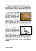 Eseja 'Manas pārdomas par laikmetīgo mākslu Lativjā', 1.