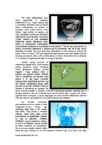 Eseja 'Manas pārdomas par laikmetīgo mākslu Lativjā', 2.