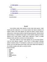 Konspekts 'Tūrisma aģentūras "Begonija", "Vanilla Travel" un "Jēkaba aģentūra" mārketinga p', 3.