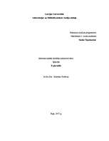 Referāts 'E-pārvalde', 1.