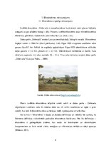 Referāts 'Doles salas ekosistēmas raksturojums', 4.