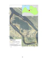 Referāts 'Doles salas ekosistēmas raksturojums', 23.