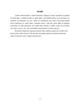 Referāts 'Notariāts', 2.