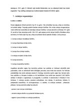 Referāts 'Latvijas aviācijas vēsture', 42.