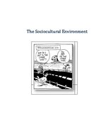 Referāts 'The Sociocultural Environment (Cultural Differences in International Marketing)', 1.