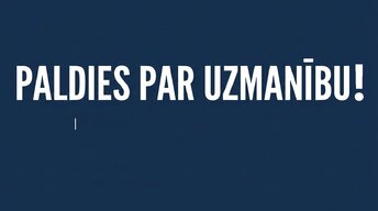 Prezentācija 'Likviditāte, rentabilitāte un apritīgums: praktiskā finanšu analīze (FP&A)', 15.