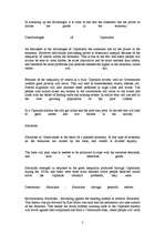 Eseja 'A Balanced Economic State', 2.