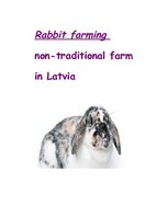Referāts 'Rabbit Farming', 1.