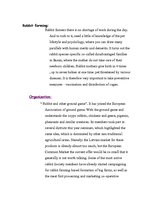 Referāts 'Rabbit Farming', 3.