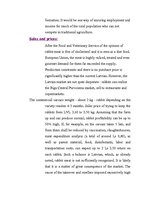 Referāts 'Rabbit Farming', 4.