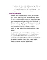 Referāts 'Rabbit Farming', 5.