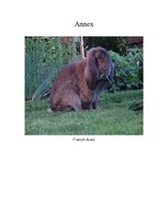 Referāts 'Rabbit Farming', 7.