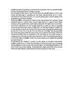 Eseja 'Jānis Jaunsudrabiņš "Baltā grāmata" - situāciju apraksts', 6.