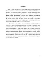 Referāts 'Korupcijas novēršanas un apkarošanas birojs', 11.