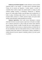 Referāts 'Cietumu personāls', 6.