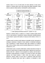 Referāts 'Iedzīvotāju priekšstati par SMScredit.lv reputāciju', 5.