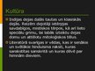 Prezentācija 'Indijas kultūras reģions', 19.