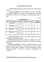 Biznesa plāns 'Privātā pirmsskolas izglītības iestāde', 4.