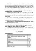 Biznesa plāns 'Privātā pirmsskolas izglītības iestāde', 13.