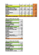 Biznesa plāns 'Privātā pirmsskolas izglītības iestāde', 15.