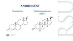 Prezentācija 'Androgēnu aizvietotājterapija – zāļu līdzekļi un to galvenie izmantošanas virzie', 2.