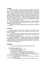 Referāts 'Nieru gaišo šūnu vēzis', 4.