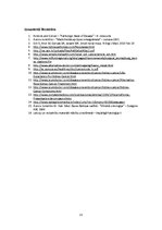 Referāts 'Nieru gaišo šūnu vēzis', 13.