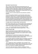 Prezentācija 'Krusta kari Tuvajos Austrumos', 14.