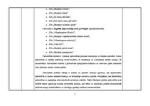 Prakses atskaite 'Prakse Jēkabpils pilsētas pašvaldībā', 4.