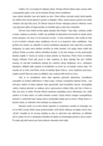 Eseja 'Recenzija par baleta izrādi "Žizele"', 2.