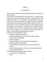 Referāts 'Mācīšanās grūtības jaunākajā vecumposmā kreiļiem', 4.