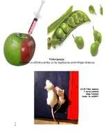 Referāts 'Ģenētiski modificēti organismi, to izmantošanas plusi un mīnusi', 1.