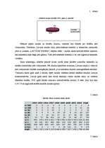 Referāts 'Skaidra nauda', 2.