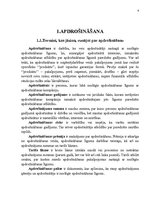 Referāts 'Īpašuma apdrošināšana', 3.