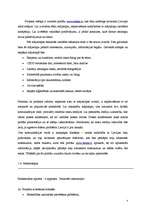 Biznesa plāns 'Projekts - mājaslapas izveide sabiedrības informēšanai par agresīvu braukšanu un', 5.