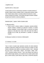 Biznesa plāns 'Projekts - mājaslapas izveide sabiedrības informēšanai par agresīvu braukšanu un', 9.