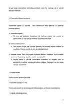 Biznesa plāns 'Projekts - mājaslapas izveide sabiedrības informēšanai par agresīvu braukšanu un', 10.