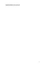 Biznesa plāns 'Projekts - mājaslapas izveide sabiedrības informēšanai par agresīvu braukšanu un', 11.