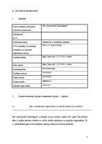 Biznesa plāns 'Projekts - mājaslapas izveide sabiedrības informēšanai par agresīvu braukšanu un', 12.