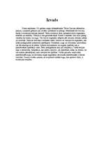 Referāts 'Cilvēka evolūcija', 1.