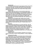 Referāts 'Cilvēka evolūcija', 3.