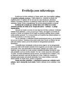 Referāts 'Cilvēka evolūcija', 4.