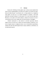 Referāts 'Autoceļu satiksmes drošība', 11.