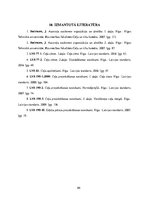 Referāts 'Autoceļu satiksmes drošība', 64.