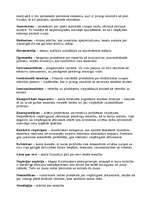 Konspekts 'Filosofijas terminu skaidrojums', 2.