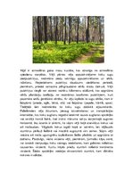 Prezentācija 'Latvijas meži un to problēmas', 9.